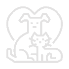 Services Sitting Free Img